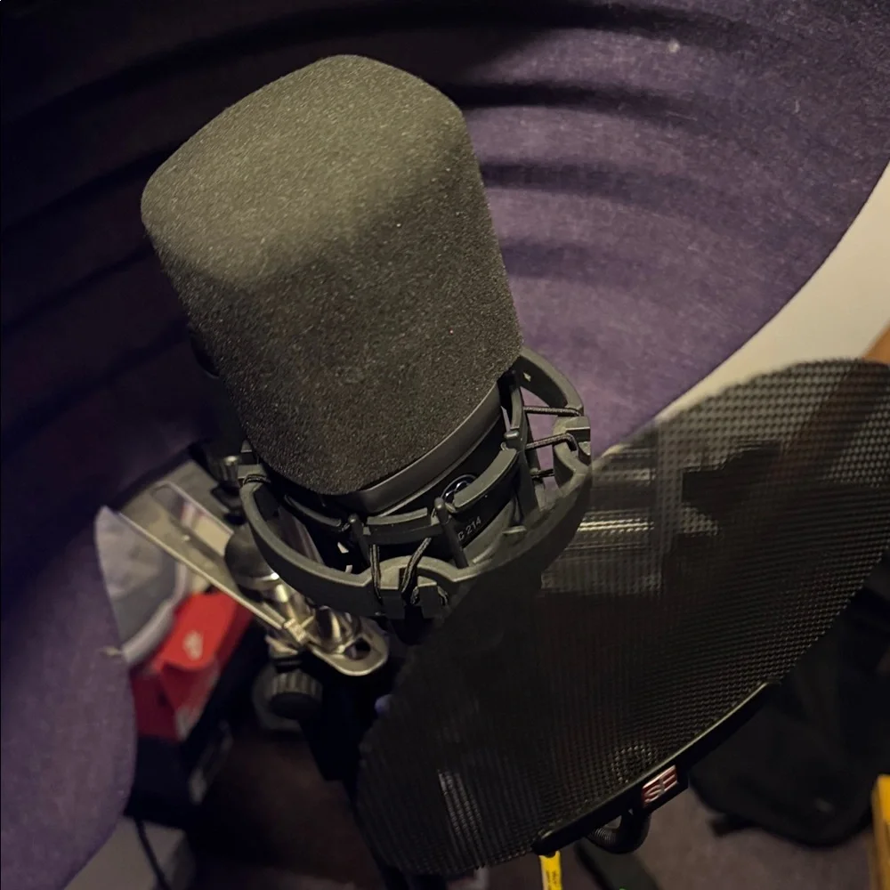 Audio Interface and Speaker Set